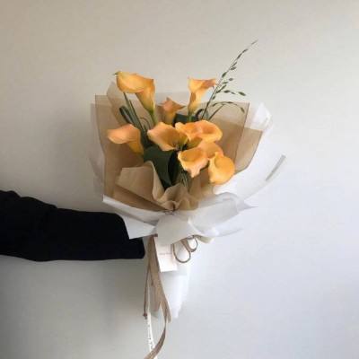 南宫体育app下载下载手机版截图