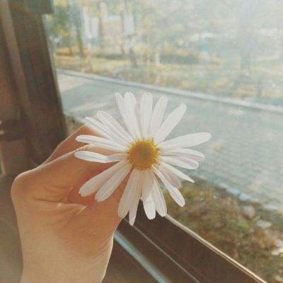 leyu乐鱼下载手机版